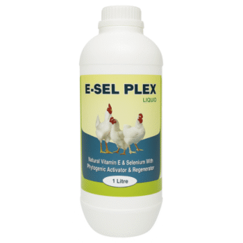 E-Sel-Plex