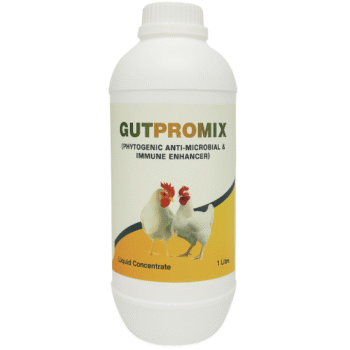 Gutpromix