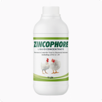 Zincophore